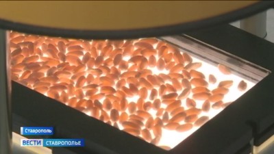 Аграрии Ставрополья готовятся к посевной кампании Аграрии Ставрополья готовятся к посевной кампании