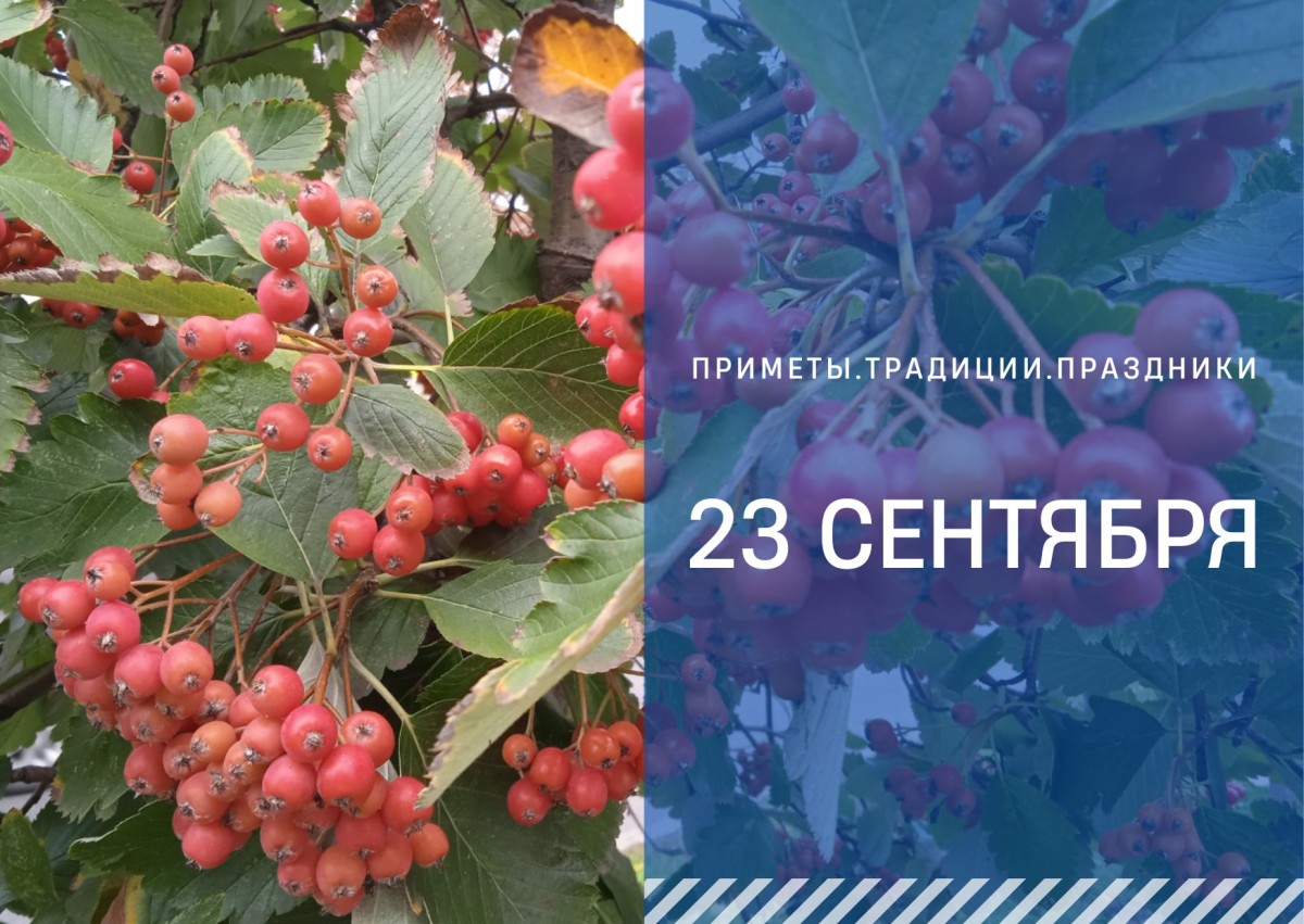 Приметы на 23 сентября: что можно и нельзя делать в день Пётра и Павла Рябинники Приметы на 23 сентября: что можно и нельзя делать в день Пётра и Павла Рябинники