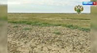 Сельхозпредприятие оштрафовали на Ставрополье за захват земли Сельхозпредприятие оштрафовали на Ставрополье за захват земли