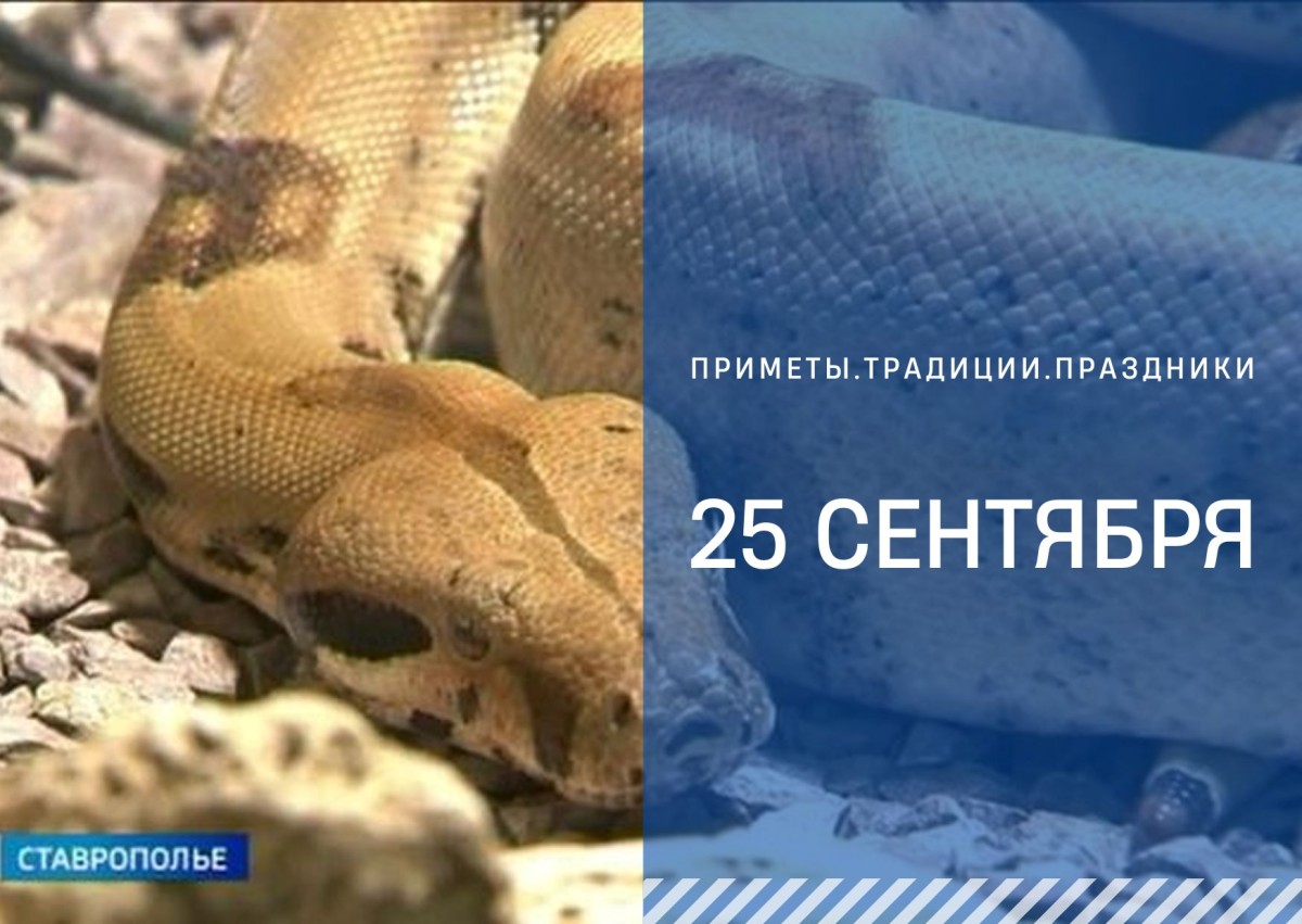 Приметы на 25 сентября: что можно и нельзя делать в день Артамона Змеевика Приметы на 25 сентября: что можно и нельзя делать в день Артамона Змеевика