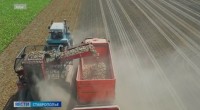 Россия наращивает экспорт сельхозпродукции в страны дальнего зарубежья Россия наращивает экспорт сельхозпродукции в страны дальнего зарубежья