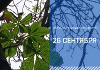 Приметы на 26 сентября: что можно и нельзя делать в день святого Корнилия, жившего в I веке Приметы на 26 сентября: что можно и нельзя делать в день святого Корнилия, жившего в I веке