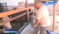 На Ставрополье ветераны СВО становятся предпринимателями