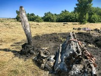Поисковики Ставрополья ищут родственников воина, погибшего в Великую Отечественную войну
