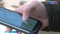 Новый цифровой сервис поможет жителям защититься от киберпреступников