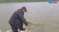 Новотроицкое водохранилище очистили от браконьерских сетей Новотроицкое водохранилище очистили от браконьерских сетей