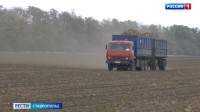 На Ставрополье приступили к севу озимых культур На Ставрополье приступили к севу озимых культур