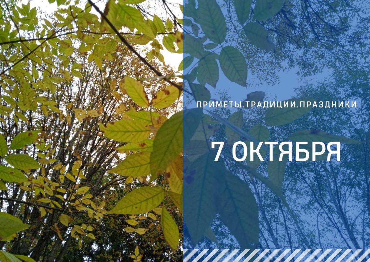 Приметы на 7 октября: что можно и нельзя делать в день Феклы Запрядальницы Приметы на 7 октября: что можно и нельзя делать в день Феклы Запрядальницы