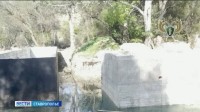 На Ставрополье руководителя фирмы наказали за урон природе На Ставрополье руководителя фирмы наказали за урон природе