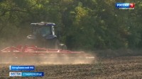 Аграрии Ставрополья начали сеять озимые Аграрии Ставрополья начали сеять озимые