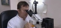 Перечень именных стипендий в России расширяется Перечень именных стипендий в России расширяется