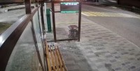 В Железноводске разыскивают вандалов, повредивших стеклянные остановки В Железноводске разыскивают вандалов, повредивших стеклянные остановки