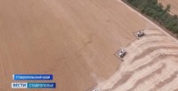 Владимиру Путину удалось поменять облик российского сельского хозяйства Владимиру Путину удалось поменять облик российского сельского хозяйства