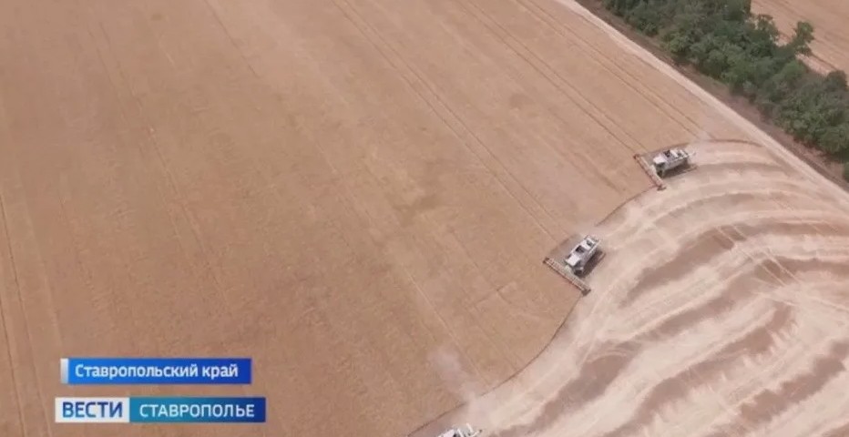 Владимиру Путину удалось поменять облик российского сельского хозяйства Владимиру Путину удалось поменять облик российского сельского хозяйства