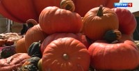 Королева осеннего стола: как выбрать самую вкусную тыкву Королева осеннего стола: как выбрать самую вкусную тыкву