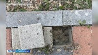 На Ставрополье директору фирмы вынесли приговор за кражу бюджетных денег На Ставрополье директору фирмы вынесли приговор за кражу бюджетных денег