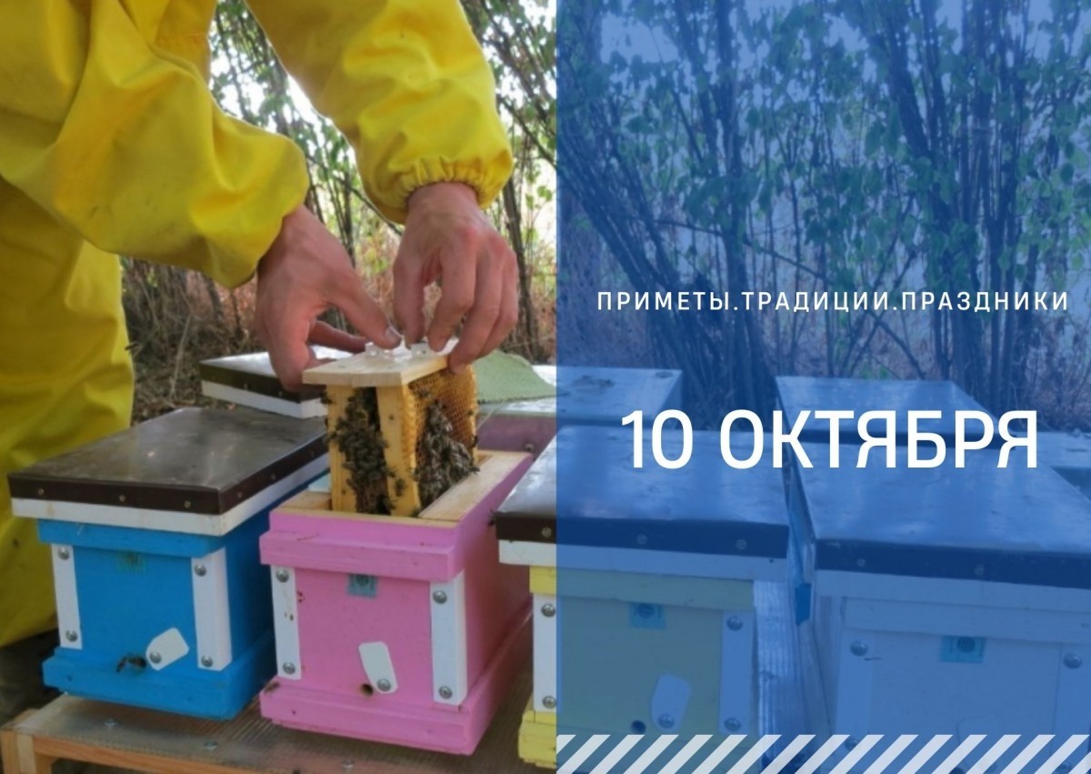 Приметы на 10 октября: что можно и нельзя делать в Покровскую родительскую субботу Приметы на 10 октября: что можно и нельзя делать в Покровскую родительскую субботу