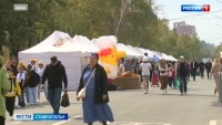 В разных районах Ставрополя проходят вечерние ярмарки