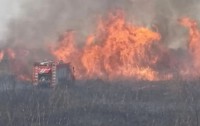 В Шпаковском округе Ставрополья пожарные ликвидировали возгорание на площади 2 гектара В Шпаковском округе Ставрополья пожарные ликвидировали возгорание на площади 2 гектара