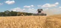 В России отмечают День работника сельского хозяйства и перерабатывающей промышленности