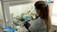 В России рекорд по числу исследователей – господдержка науки работает