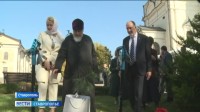 В Ставрополе у Казанского собора высадили священную сосну В Ставрополе у Казанского собора высадили священную сосну