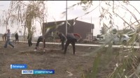 Новопятигорское озеро под сенью ив Новопятигорское озеро под сенью ив