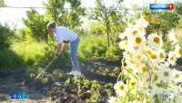 Осенние работы в саду и огороде: что нужно знать