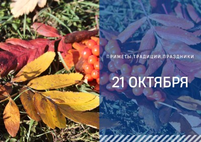 Приметы на 21 октября: что можно и нельяз делать в день Трифона и Пелагеи