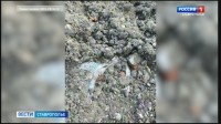 Суд вынес приговор экс‑техдиректору Ставрополькрайводоканала за свалку на горе Бештау
