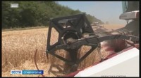 Два ставропольца стали заслуженными работниками сельского хозяйства РФ
