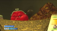 "Финансовая сказка" стартовала на Ставрополье