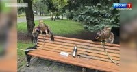 У уличных фотографов в Пятигорске изъяли еще двух краснокнижных орлов