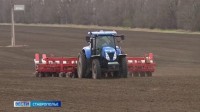 На Ставрополье завершают сев зимующего гороха