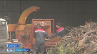 На Ставрополье наладили сортировку мусора На Ставрополье наладили сортировку мусора