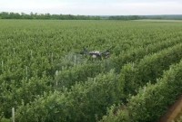 Учёные СКФУ создают ИИ-решения для агродронов, теплиц и прогноза урожая Учёные СКФУ создают ИИ-решения для агродронов, теплиц и прогноза урожая