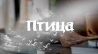 Национальный код: Птица