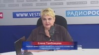Горячая битва cтавропольских хлеборобов за урожай в жаркие дни Горячая битва cтавропольских хлеборобов за урожай в жаркие дни