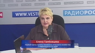 Горячая битва cтавропольских хлеборобов за урожай в жаркие дни Горячая битва cтавропольских хлеборобов за урожай в жаркие дни