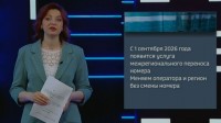 Как сменить оператора связи и сохранить номер: пошаговая инструкция