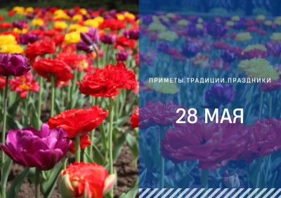 Приметы на 28 мая: что можно и нельзя делать на Пахома Бокогрея Приметы на 28 мая: что можно и нельзя делать на Пахома Бокогрея