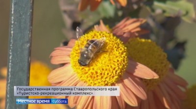 «Туристический край»: Ботанический сад Ставрополя - красота в любое время года «Туристический край»: Ботанический сад Ставрополя - красота в любое время года